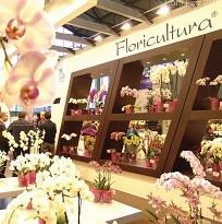 Name:  Fuar.jpg
Views: 785
Size:  14.7 KB