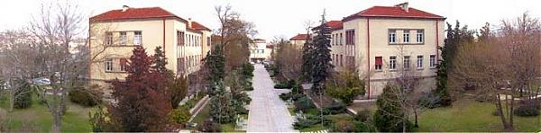 Name:  ziraat.jpg
Views: 381
Size:  23.3 KB