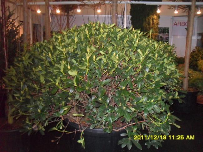 Name:  001.jpg
Views: 529
Size:  65.0 KB