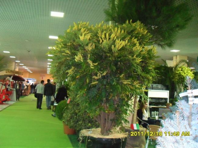 Name:  022.jpg
Views: 518
Size:  55.9 KB
