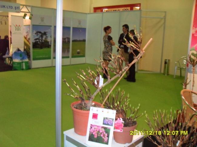 Name:  031.jpg
Views: 528
Size:  42.2 KB