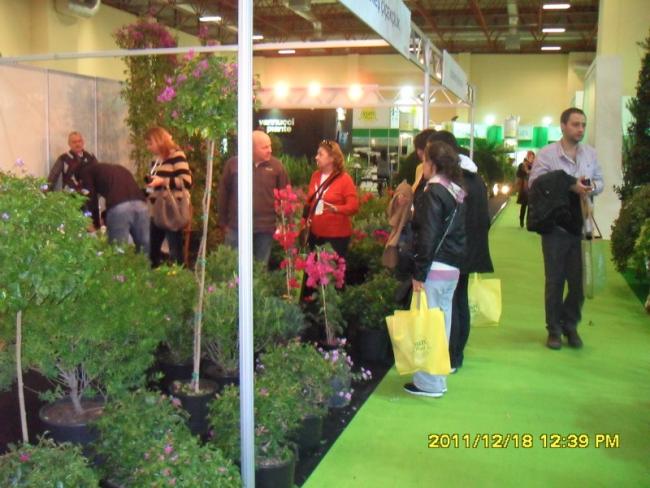 Name:  038.jpg
Views: 501
Size:  53.6 KB