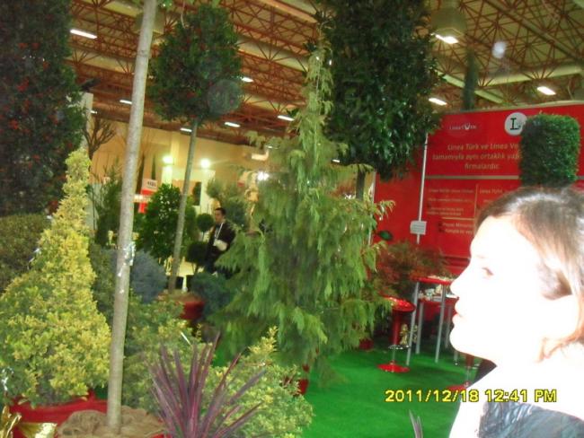 Name:  039.jpg
Views: 502
Size:  58.7 KB