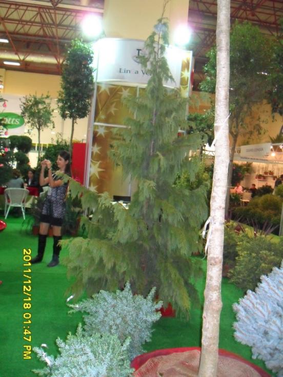 Name:  049.jpg
Views: 488
Size:  67.6 KB