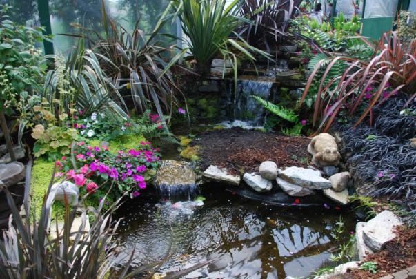Name:  DSC_1690.jpg
Views: 781
Size:  71.8 KB