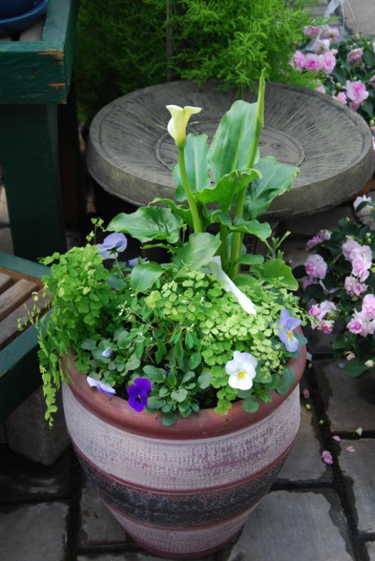Name:  DSC_1684.jpg
Views: 731
Size:  69.0 KB
