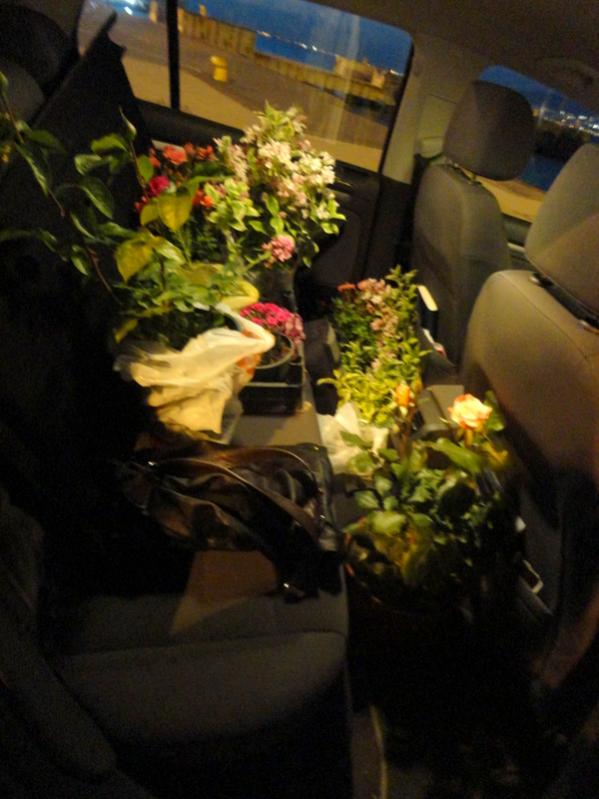 Name:  1-1-DSC00291.jpg
Views: 820
Size:  58.8 KB