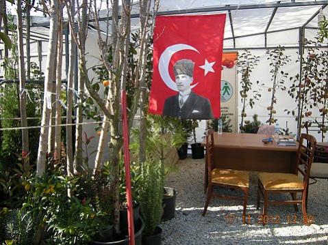 Name:  DSCN6213.jpg
Views: 671
Size:  52.0 KB