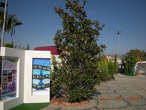 Name:  DSCN6177.jpg
Views: 658
Size:  57.3 KB