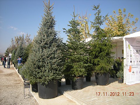 Name:  DSCN6186.jpg
Views: 651
Size:  65.5 KB