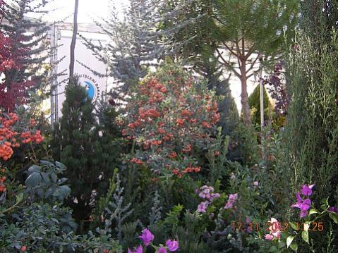 Name:  DSCN6188.jpg
Views: 652
Size:  52.0 KB