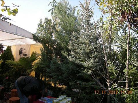 Name:  DSCN6189.jpg
Views: 630
Size:  49.6 KB