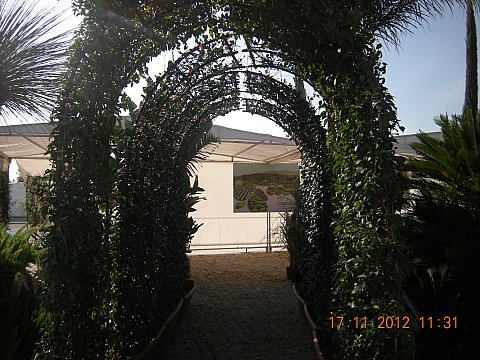Name:  DSCN6193.jpg
Views: 643
Size:  66.4 KB