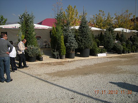 Name:  DSCN6195.jpg
Views: 641
Size:  66.2 KB