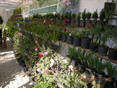 Name:  DSCN6205.jpg
Views: 604
Size:  50.3 KB
