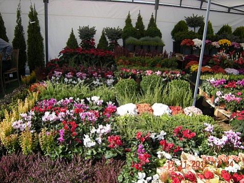 Name:  DSCN6212.jpg
Views: 614
Size:  55.5 KB