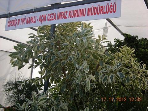Name:  DSCN6214.jpg
Views: 628
Size:  45.2 KB