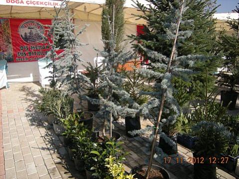 Name:  DSCN6216.jpg
Views: 627
Size:  51.1 KB