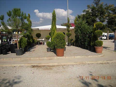 Name:  DSCN6222.jpg
Views: 587
Size:  56.6 KB