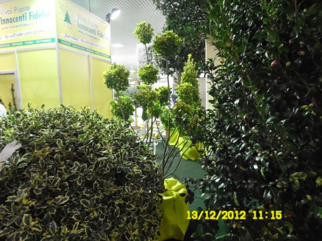 Name:  006.jpg
Views: 826
Size:  70.3 KB