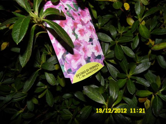 Name:  010.jpg
Views: 834
Size:  53.8 KB