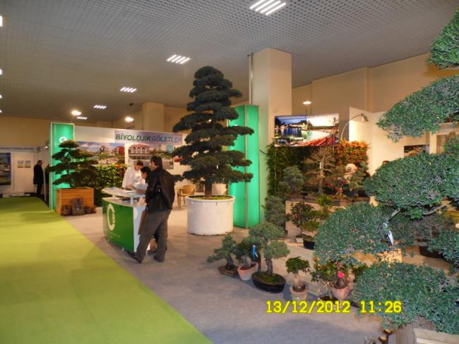 Name:  016.jpg
Views: 722
Size:  51.6 KB