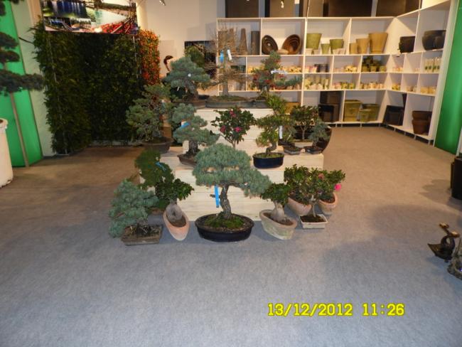 Name:  017.jpg
Views: 839
Size:  50.3 KB