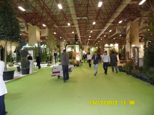 Name:  018.jpg
Views: 812
Size:  46.0 KB