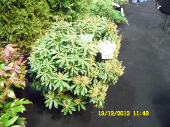 Name:  021.jpg
Views: 849
Size:  58.7 KB
