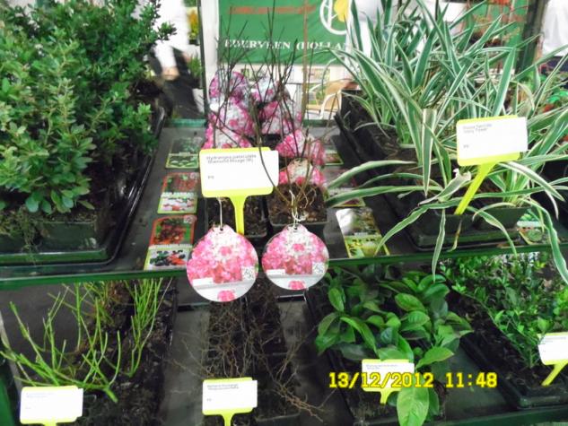 Name:  023.jpg
Views: 768
Size:  70.7 KB