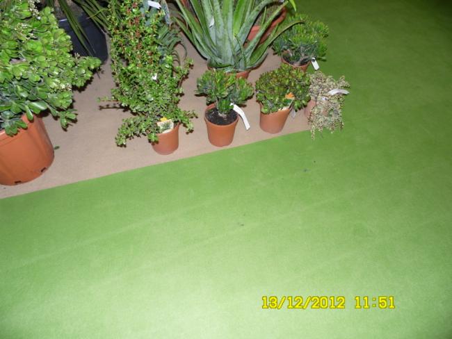 Name:  027.jpg
Views: 434
Size:  42.6 KB