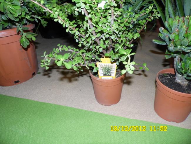 Name:  030.jpg
Views: 455
Size:  60.2 KB