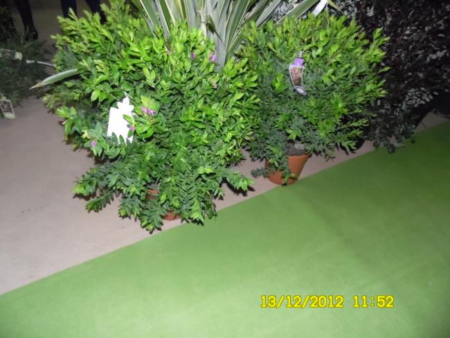 Name:  031.jpg
Views: 820
Size:  51.5 KB