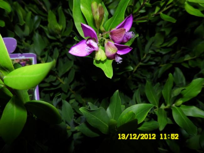 Name:  032.jpg
Views: 759
Size:  39.7 KB