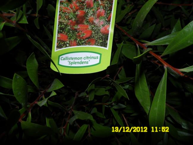 Name:  033.jpg
Views: 731
Size:  41.2 KB