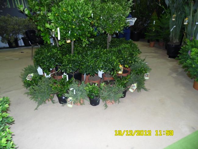 Name:  035.jpg
Views: 464
Size:  53.1 KB