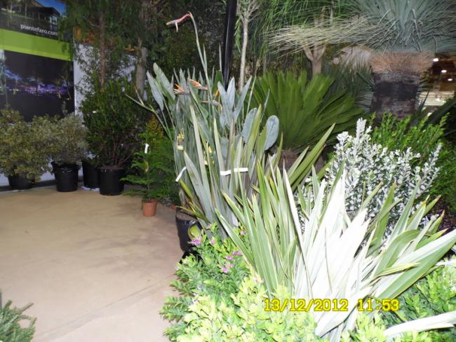 Name:  036.jpg
Views: 430
Size:  69.5 KB