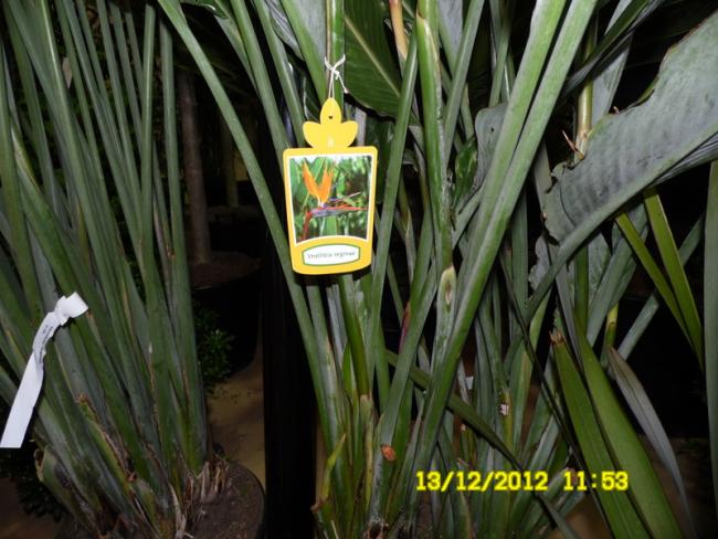 Name:  037.jpg
Views: 447
Size:  54.3 KB