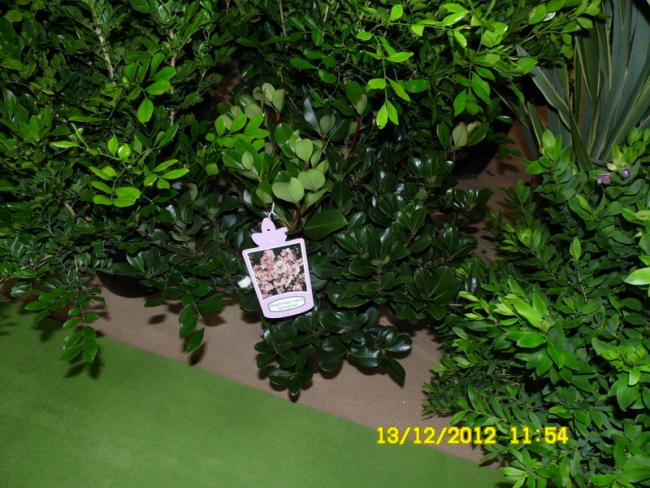 Name:  040.jpg
Views: 434
Size:  65.5 KB