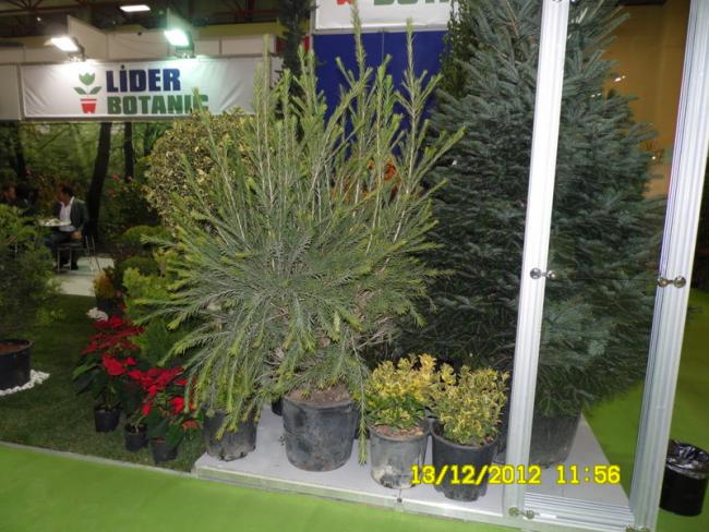 Name:  044.jpg
Views: 883
Size:  61.2 KB