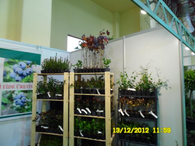 Name:  050.jpg
Views: 769
Size:  45.2 KB