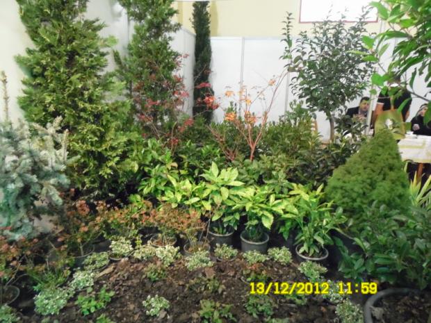 Name:  051.jpg
Views: 469
Size:  71.9 KB