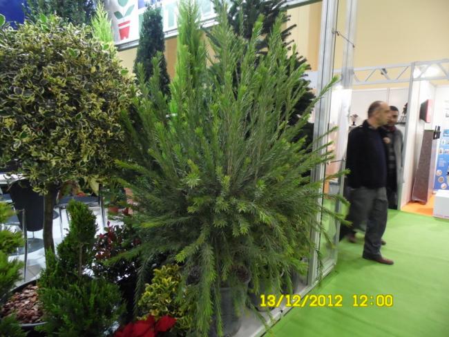Name:  053.jpg
Views: 775
Size:  65.0 KB