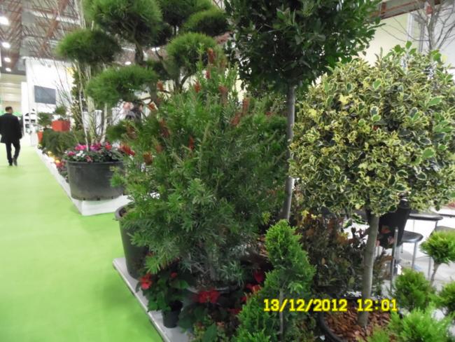 Name:  054.jpg
Views: 812
Size:  66.8 KB