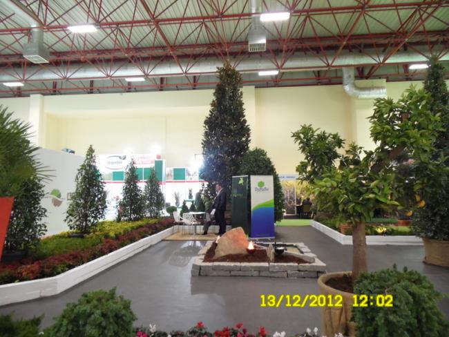 Name:  057.jpg
Views: 794
Size:  60.2 KB