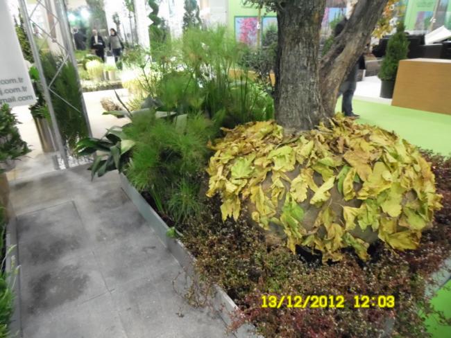 Name:  060.jpg
Views: 473
Size:  62.8 KB