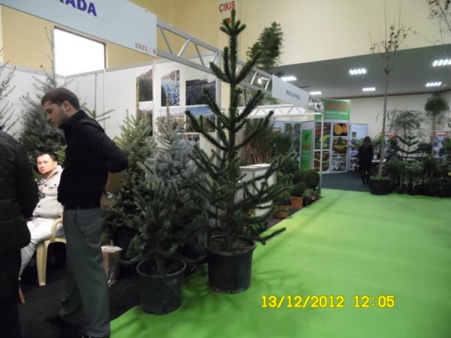 Name:  062.jpg
Views: 710
Size:  41.6 KB