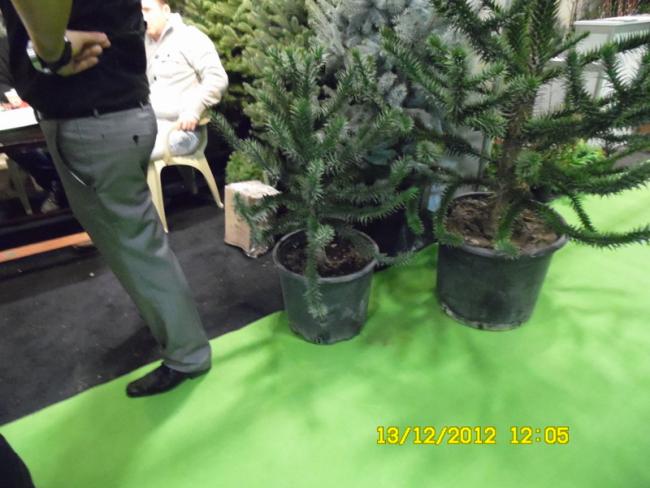 Name:  063.jpg
Views: 783
Size:  45.1 KB