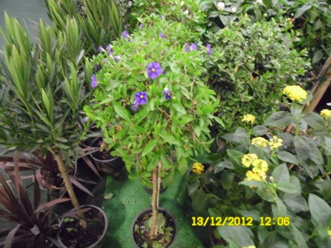 Name:  064.jpg
Views: 801
Size:  65.6 KB