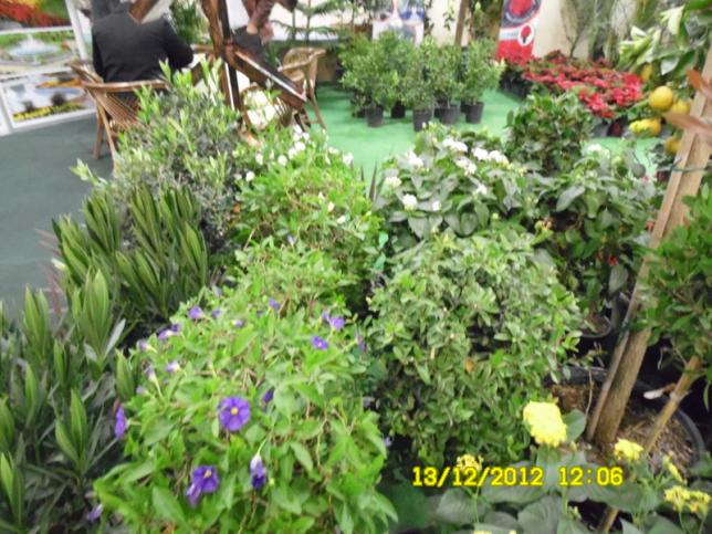 Name:  065.jpg
Views: 778
Size:  70.8 KB
